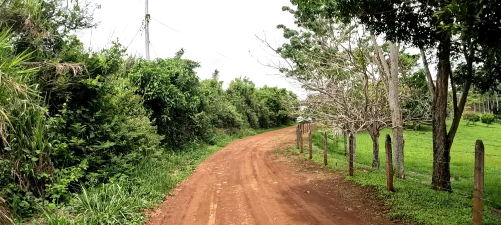 costa rica's dirt road